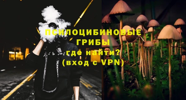 амф Карпинск