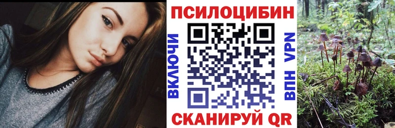 Псилоцибиновые грибы прущие грибы  Купить  Горнозаводск 
